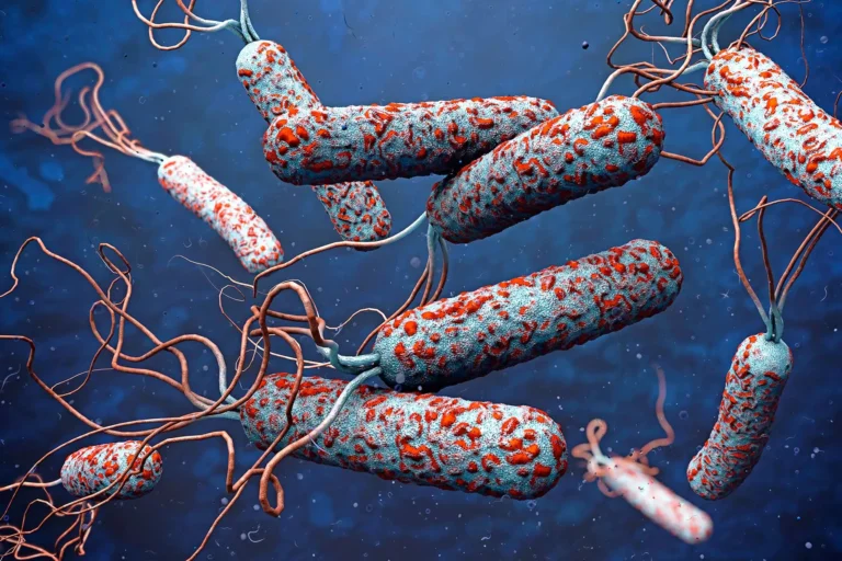 Déploiement médical d'urgence contre le cholera en RCA en périphérie de la capitale