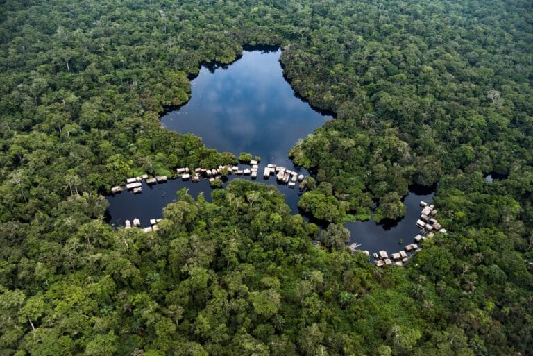 Vue aérienne de la canopée préservée dans le bassin du Congo pour le marché du carbone