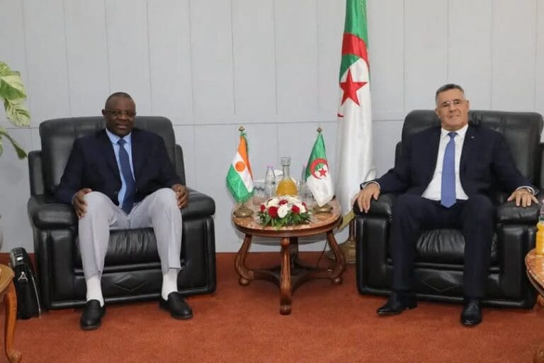 Réunion officielle bilatérale axée sur le développement de la coopération pétrolière africaine entre Alger et Niamey.