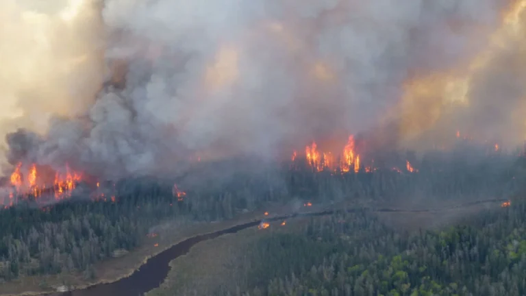 Incendies au Canada avec des forêts en feu sous un ciel de fumée épaisse.