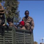 Tensions entre l’Éthiopie et l’Érythrée avec la saisine du Conseil de sécurité de l’ONU