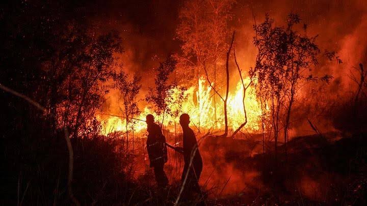 Incendies en Indonésie provoquant une épaisse fumée toxique en Asie du Sud-Est