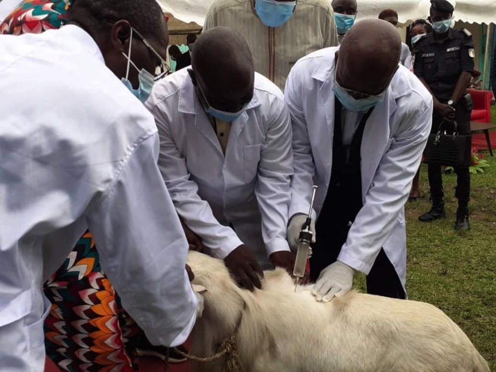 Inspection vétérinaire en Côte d’Ivoire avec la formation des agents du MIRAH à Abidjan